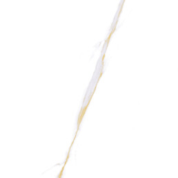 Carrara Gold Porcelain tile