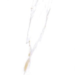 Carrara Gold Porcelain tile